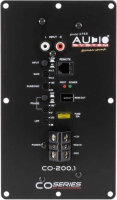 Audio System R 08 FLAT BR ACTIVE EVO